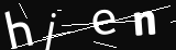 verifycode
